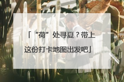 “荷”处寻夏？带上这份打卡地图出发吧